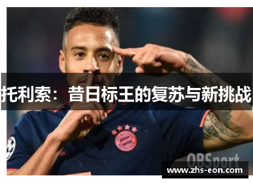 托利索:昔日标王的复苏与新挑战 托利索:昔日标王的复苏与新挑战