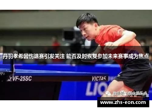 丹羽孝希因伤退赛引发关注 能否及时恢复参加未来赛事成为焦点